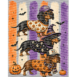 Halloween-WS 11991